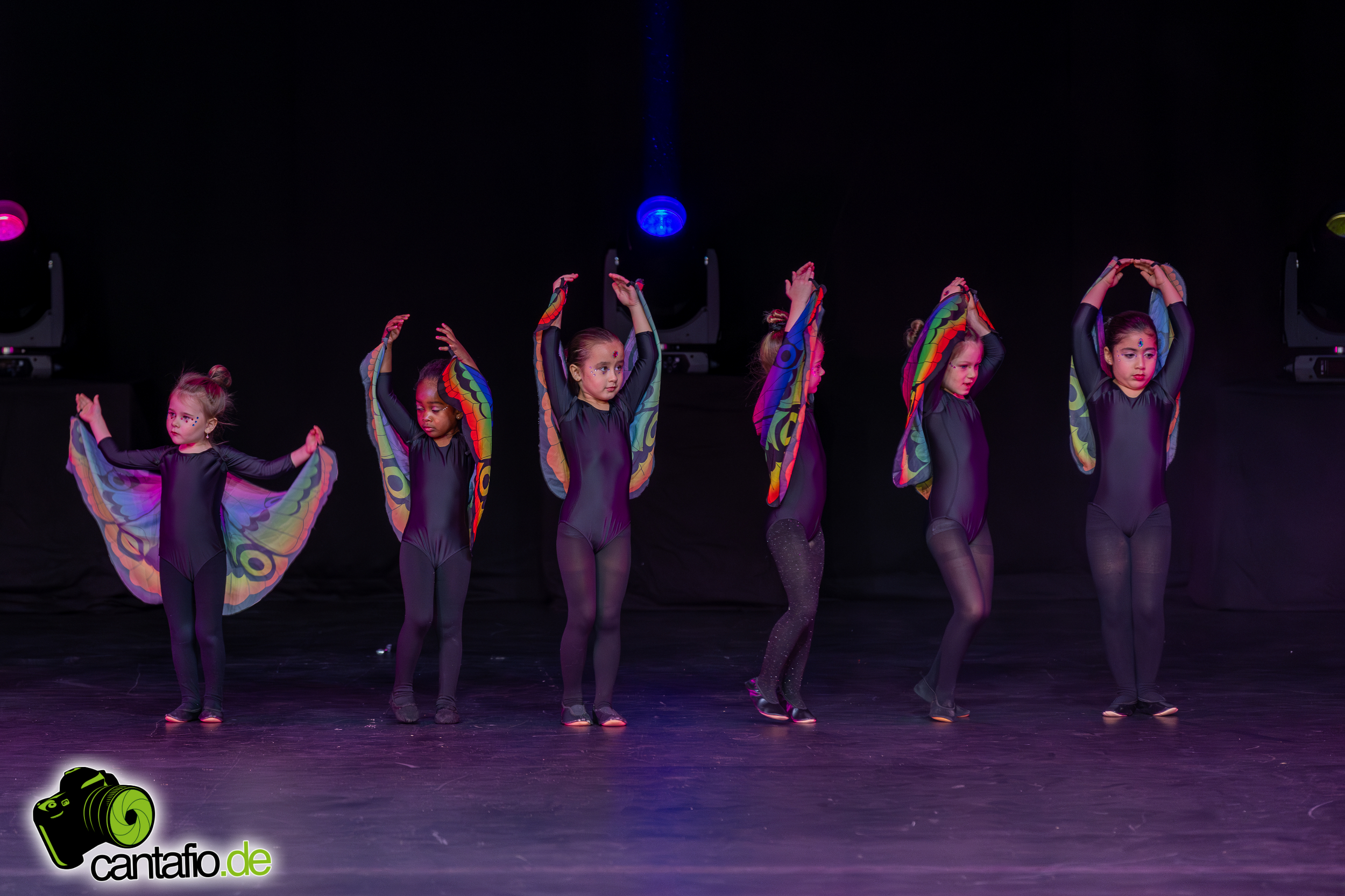  MG 1311 Verbessert RR