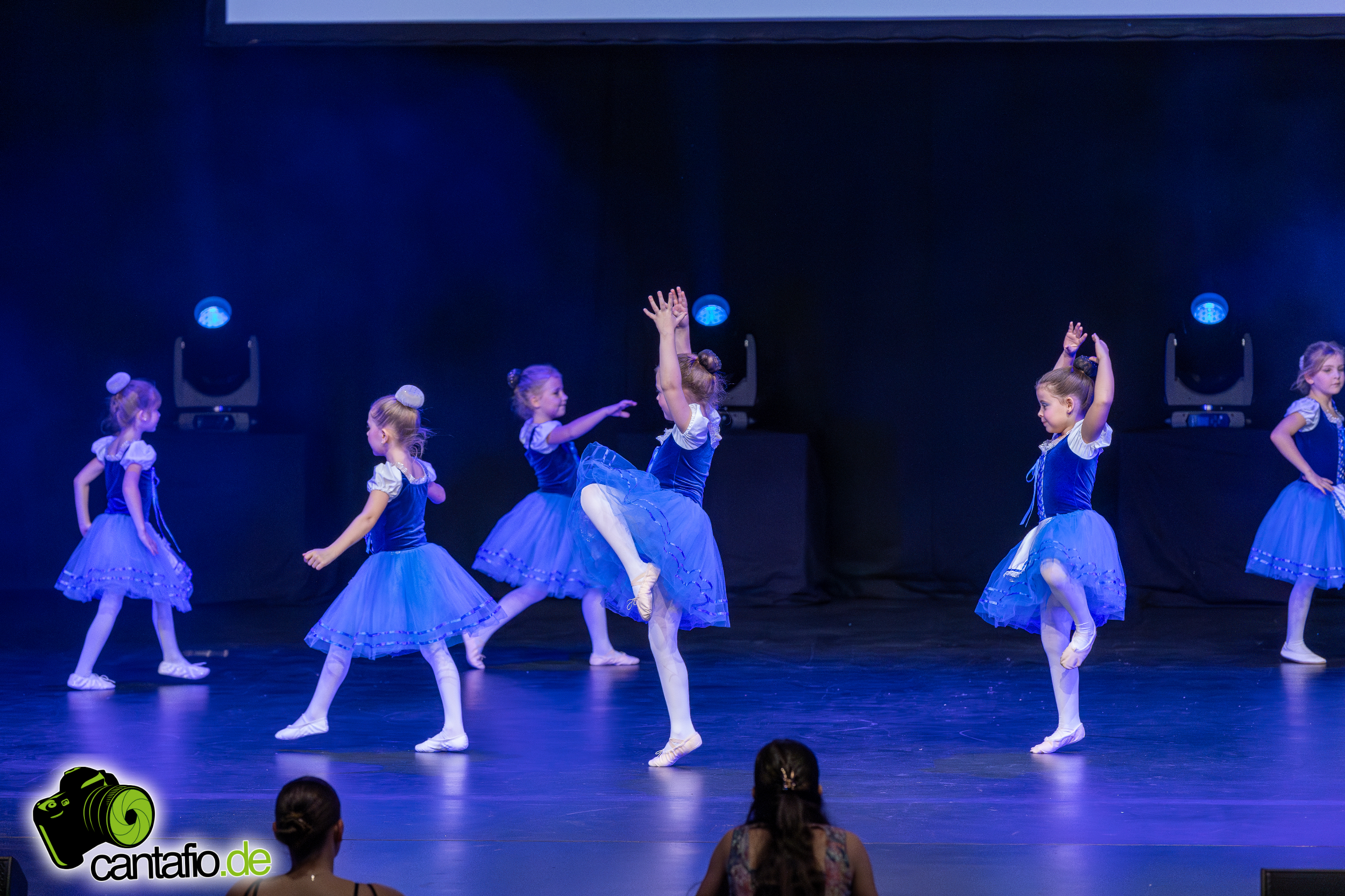  MG 3690 Verbessert RR