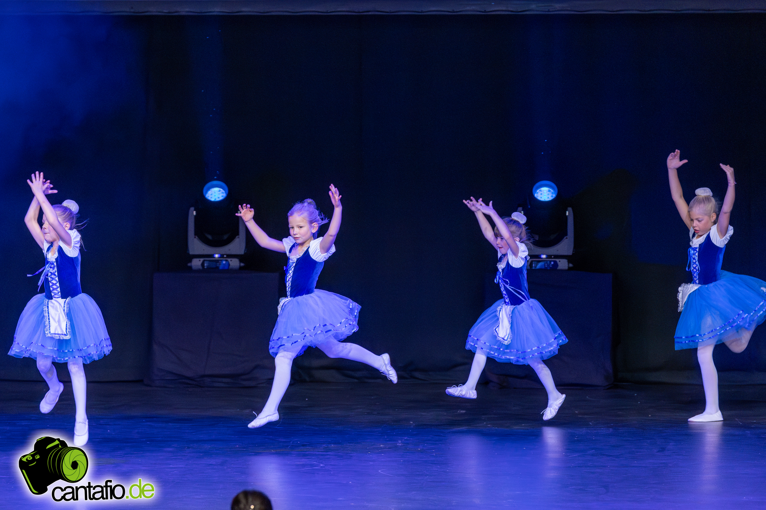  MG 3727 Verbessert RR