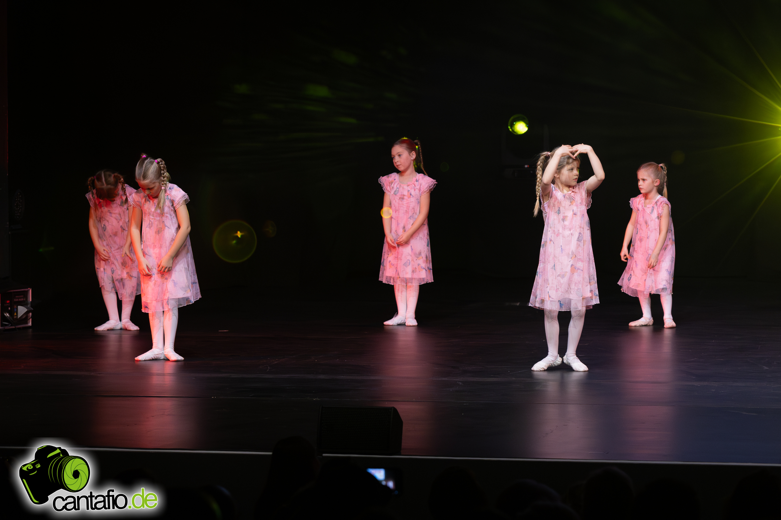  MG 5424 Verbessert RR